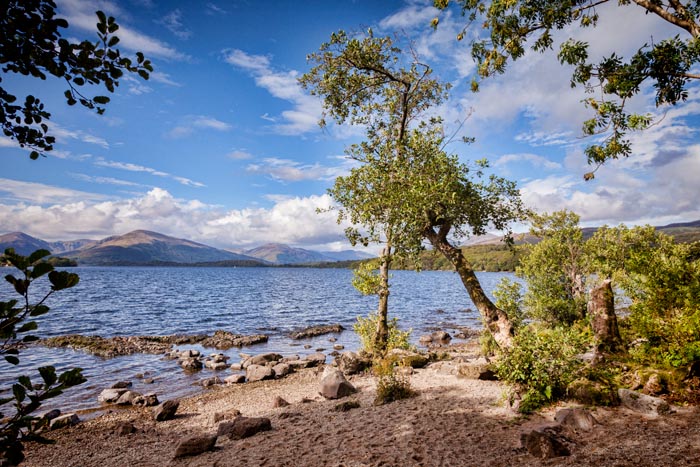 A small beach beside Loch Lomond from the West Highland Way, Stirlingshire, Scotland, UK.