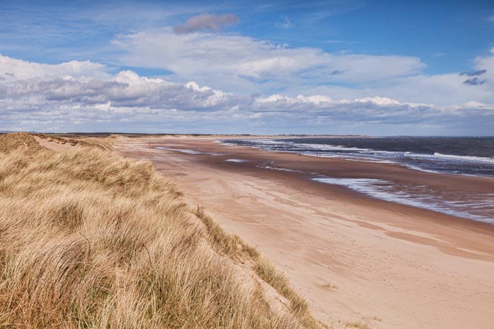 Dunes at Drurudge Bay, Northumberland, England, UK