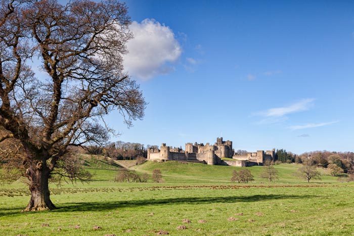 Spring at Alnwick Castle, Northumberland, England, UK