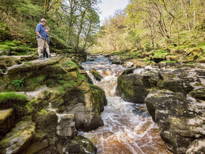 The Strid in the Bolton Abbey Estate, where the River Wharfe narrows through a gorge.