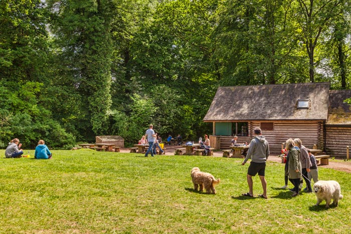 Picnic area in the Forest of Dean, near Symonds Yat, Gloucestershire, England, UK