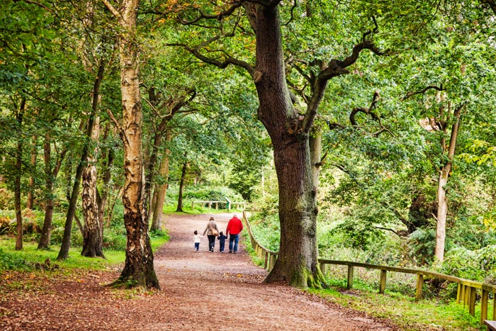 Family walking in Sherwood Forest, Nottinghamshire, England, UK